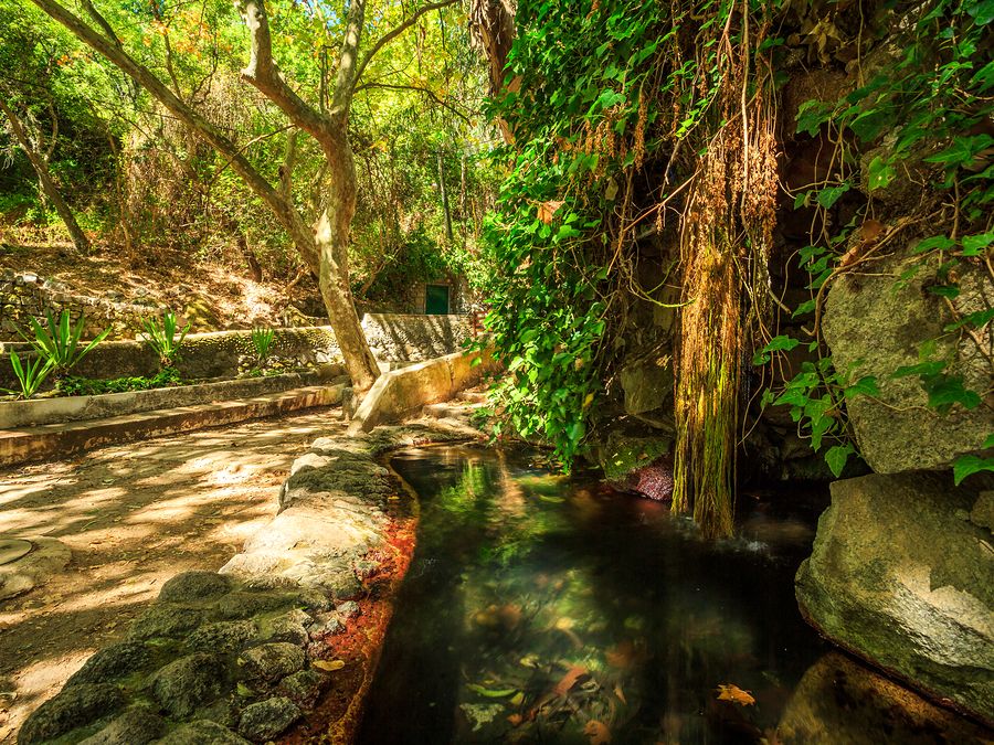 Wanderwege Caldas de Monchique, Serra de Monchique, Algarve